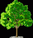 Δέντρο